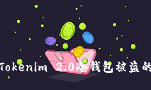 如何处理Tokenim 2.0冷钱包被盗的紧急措施