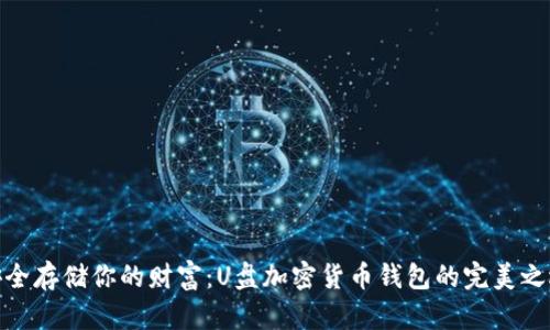 安全存储你的财富：U盘加密货币钱包的完美之选