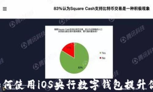 
掌握未来：如何使用iOS央行数字钱包提升你的生活质量