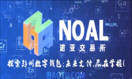 探索彭州数字钱包：未来支付，尽在掌握！