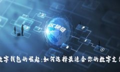 全球数字钱包的崛起：如