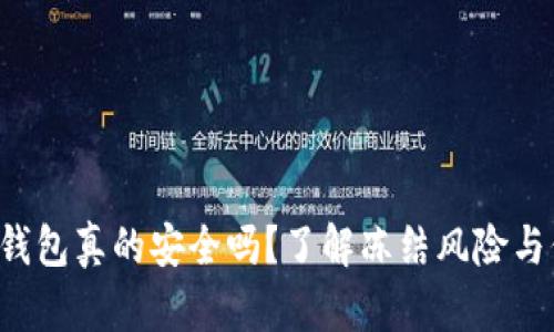 你的加密钱包真的安全吗？了解冻结风险与保护技巧！