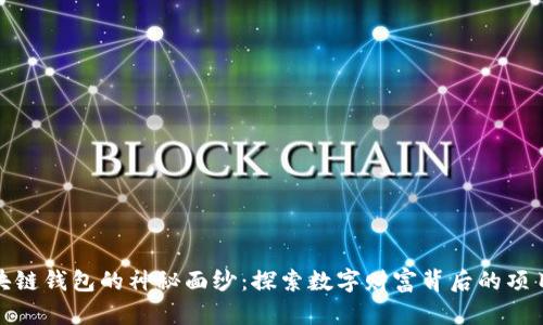 揭开区块链钱包的神秘面纱：探索数字财富背后的项目与机会
