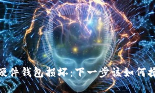 应对Tokenim2.0硬件钱包损坏：下一步该如何挽救您的数字资产？