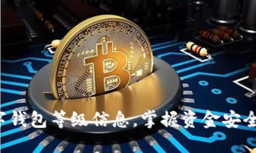 轻松查询数字钱包等级信息，掌握资金安全与使用便利！
