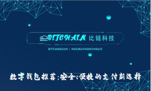 数字钱包推荐：安全、便捷的支付新选择