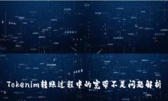 Tokenim转账过程中的宽带不