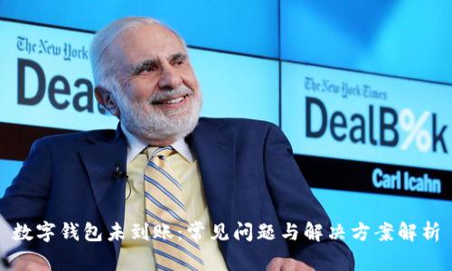 数字钱包未到账：常见问题与解决方案解析