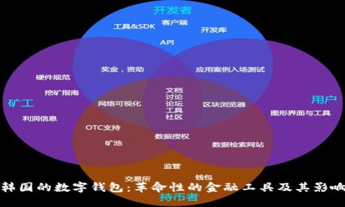 韩国的数字钱包：革命性的金融工具及其影响