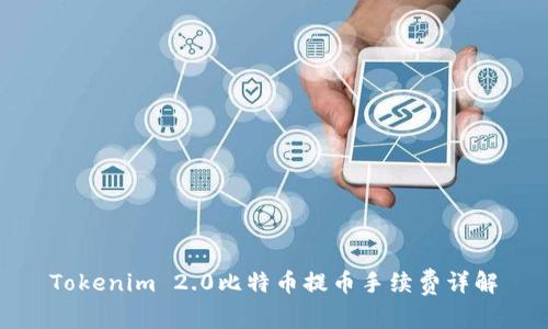 Tokenim 2.0比特币提币手续费详解