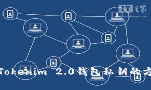 安全保存Tokenim 2.0钱包私钥的方法与技巧