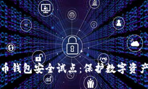 数字货币钱包安全试点：保护数字资产的未来