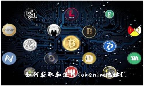  如何获取和使用Tokenim地址？