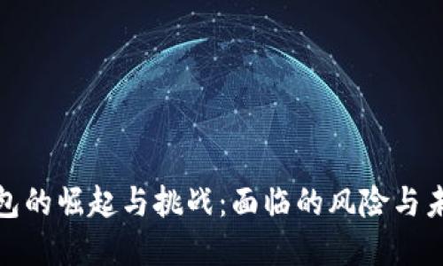 数字钱包的崛起与挑战：面临的风险与未来发展