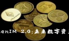 币安与TokenIM 2.0：未来数字资产的交汇点