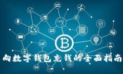向数字钱包充钱的全面指