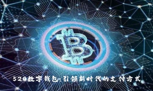 520数字钱包：引领新时代的支付方式
