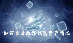 如何查看数字钱包资产情