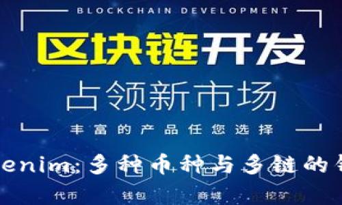 全面解析Tokenim：多种币种与多链的钱包解决方案