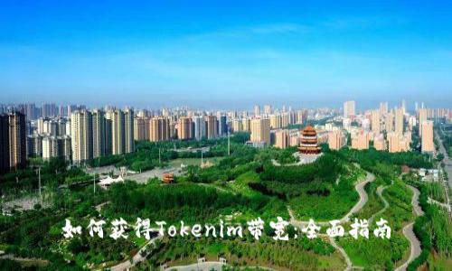 如何获得Tokenim带宽：全面指南