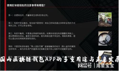 国内区块链钱包APP的多重用途与未来发展