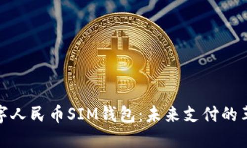 探索数字人民币SIM钱包：未来支付的革命之路